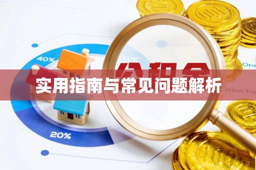 凤泉实用指南与常见问题解析