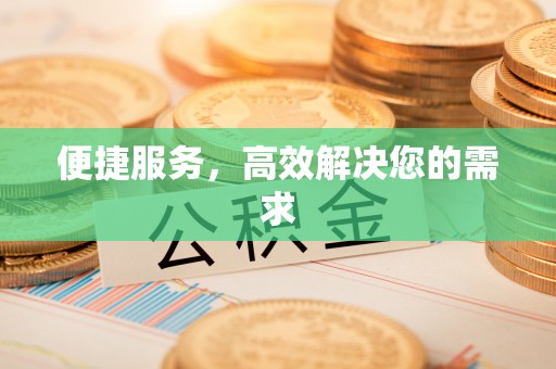 凤泉便捷服务，高效解决您的需求