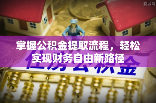 凤泉掌握公积金提取流程，轻松实现财务自由新路径