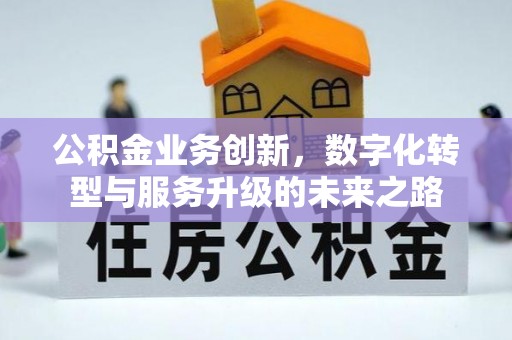 凤泉公积金业务创新，数字化转型与服务升级的未来之路