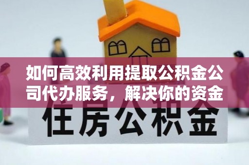凤泉如何高效利用提取公积金公司代办服务，解决你的资金难题