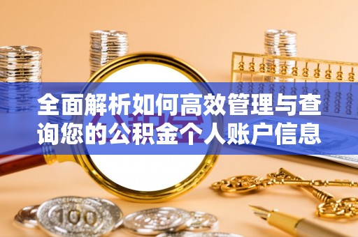 凤泉全面解析如何高效管理与查询您的公积金个人账户信息