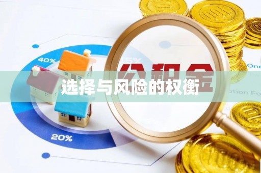 凤泉选择与风险的权衡