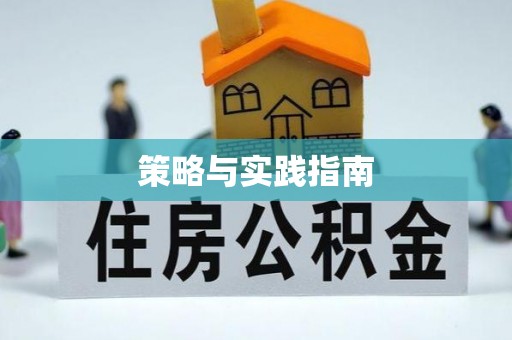 凤泉策略与实践指南