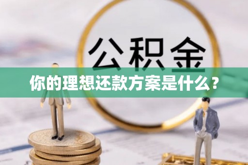 凤泉你的理想还款方案是什么？