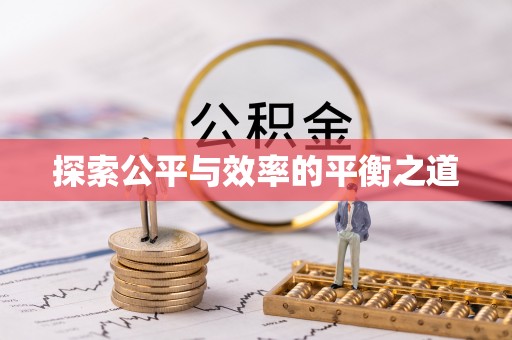 凤泉探索公平与效率的平衡之道