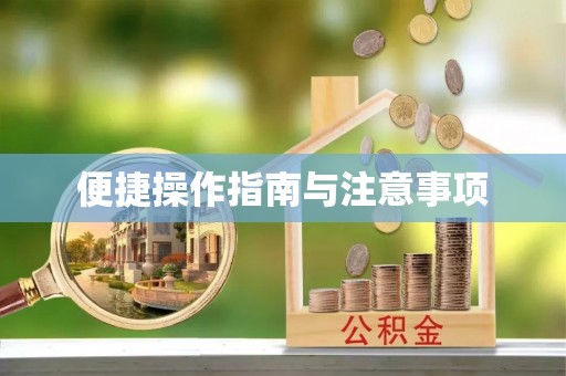 凤泉便捷操作指南与注意事项